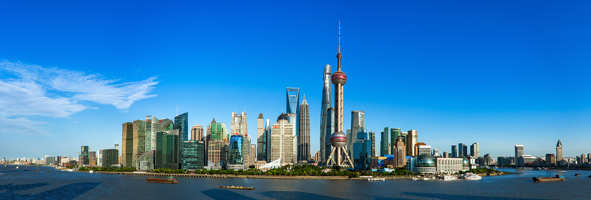 公司业务